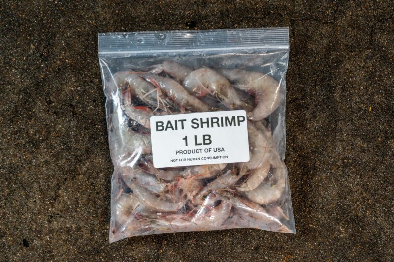 Head On Bait Shrimp - 1lb